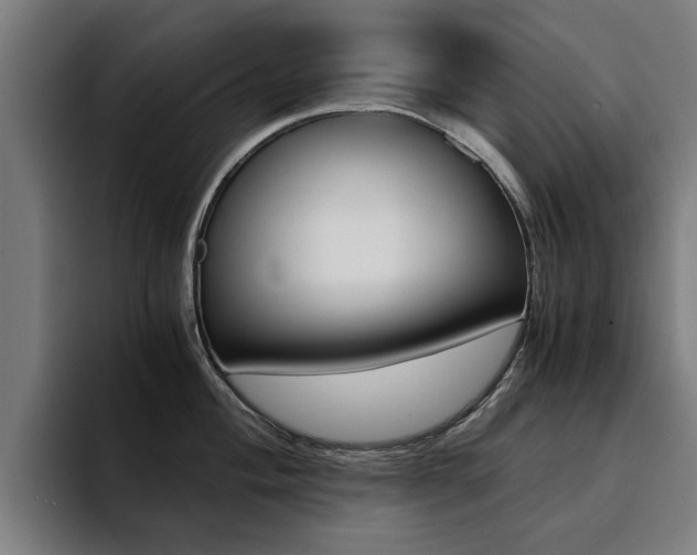 X0000094431004200711081015