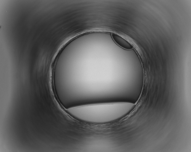 X0000094431006200711081015