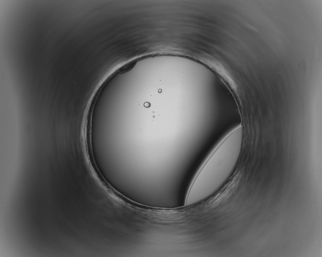 X0000094431007200711081015
