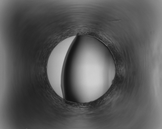 X0000094431010200711081014