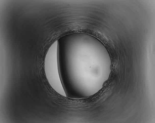 X0000094431012200711081014