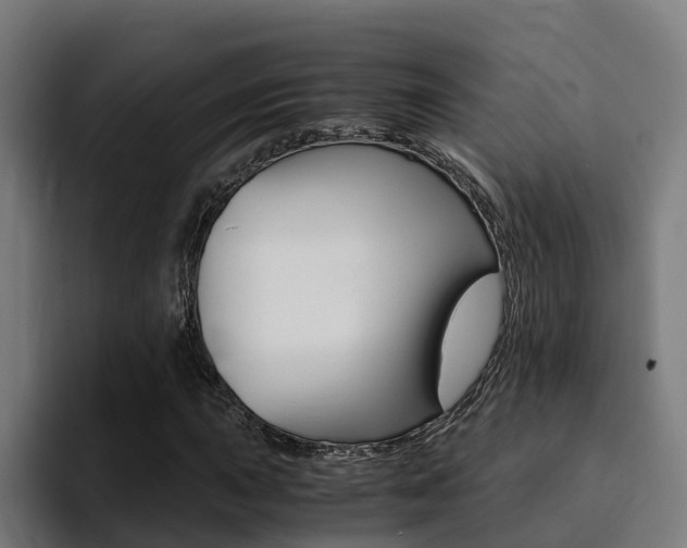 X0000094431015200711081015