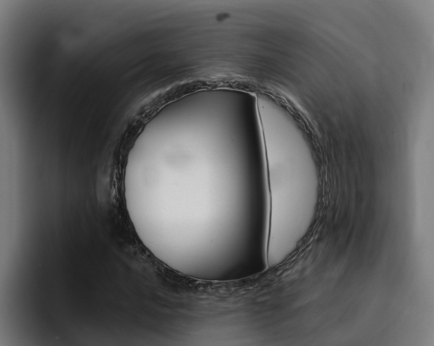 X0000094431016200711081015