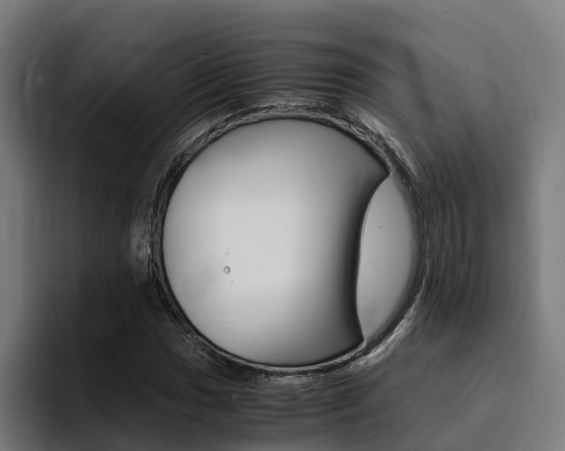 X0000094431017200711081015