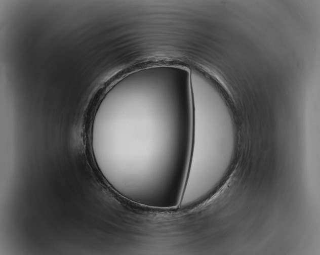 X0000094431018200711081015