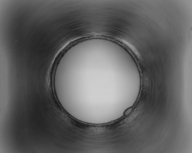 X0000094431023200711081015