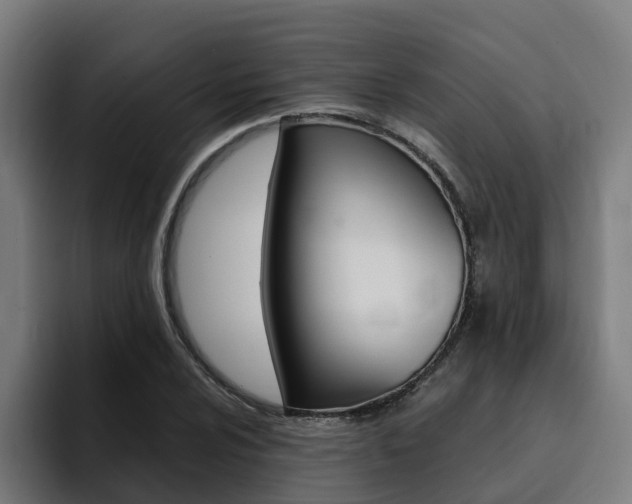 X0000094431024200711081015