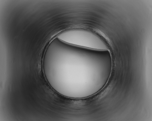 X0000094431025200711081015