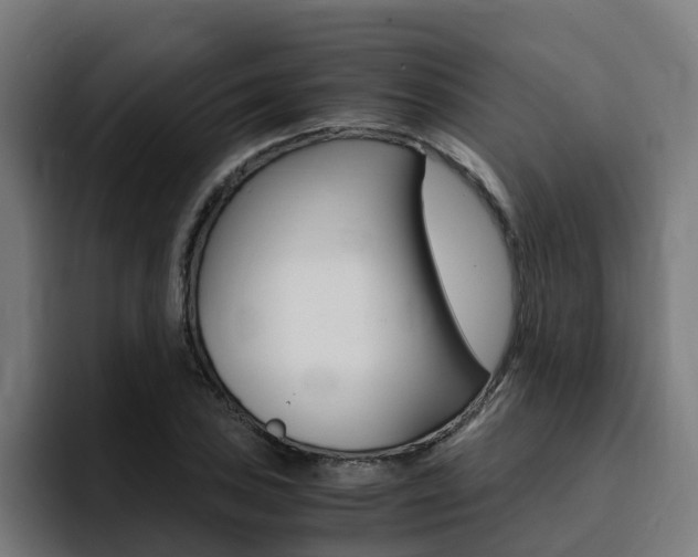X0000094431027200711081015