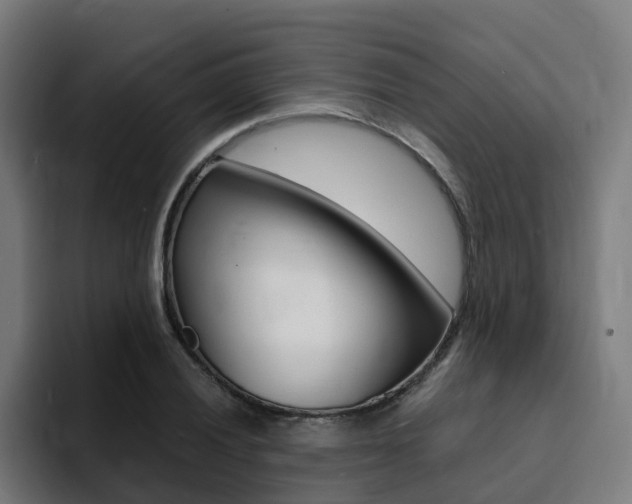 X0000094431028200711081015