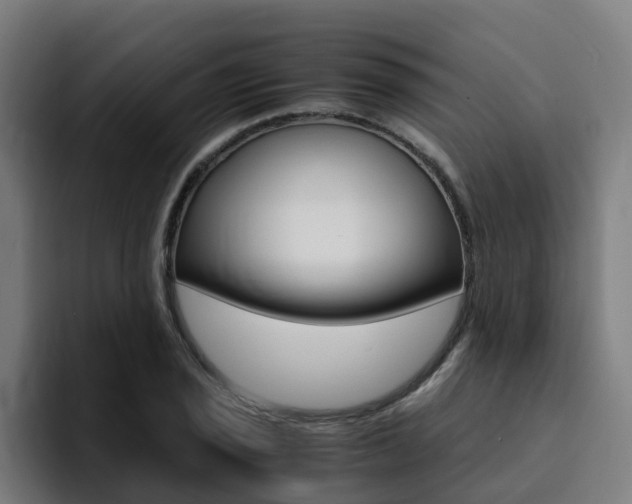 X0000094431029200711081015