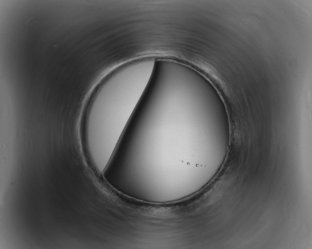 X0000094431030200711081015