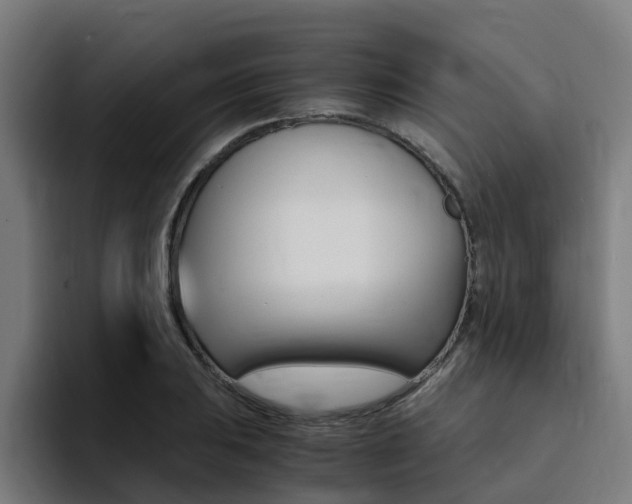 X0000094431031200711081015