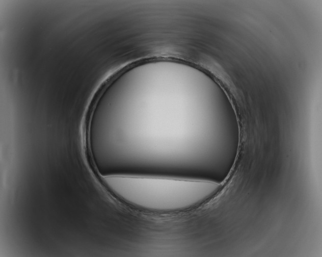 X0000094431032200711081015