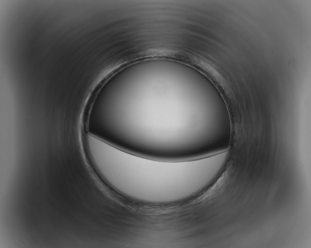 X0000094431034200711081015