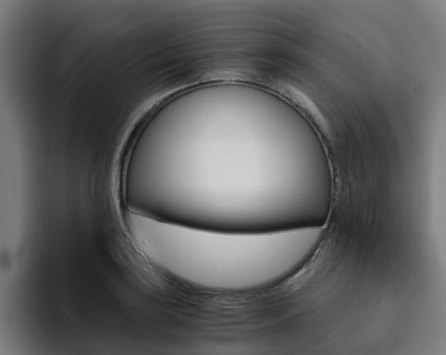 X0000094431035200711081015