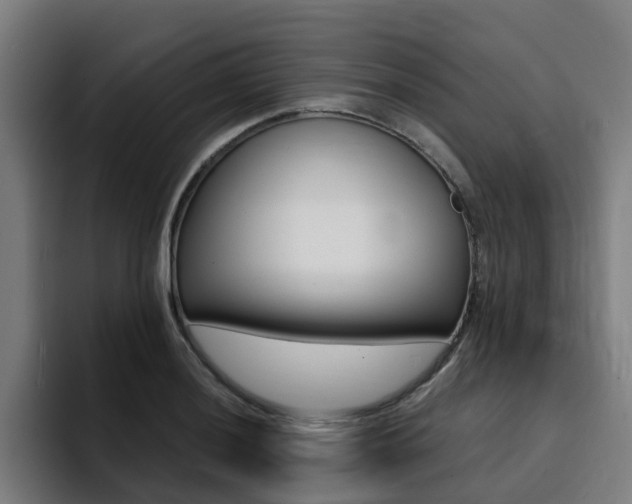 X0000094431036200711081015