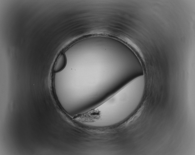 X0000094431037200711081015