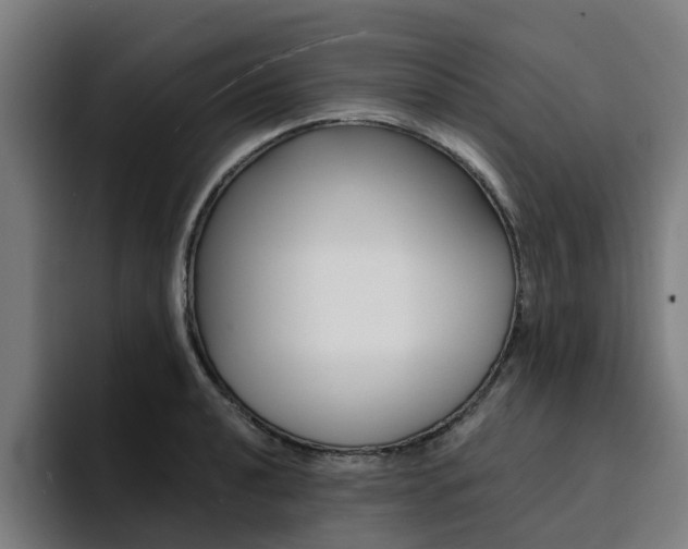 X0000094431040200711081015