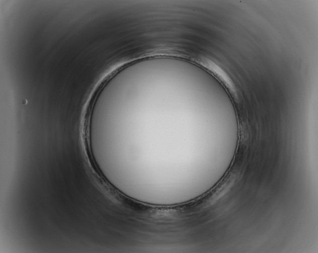 X0000094431043200711081015