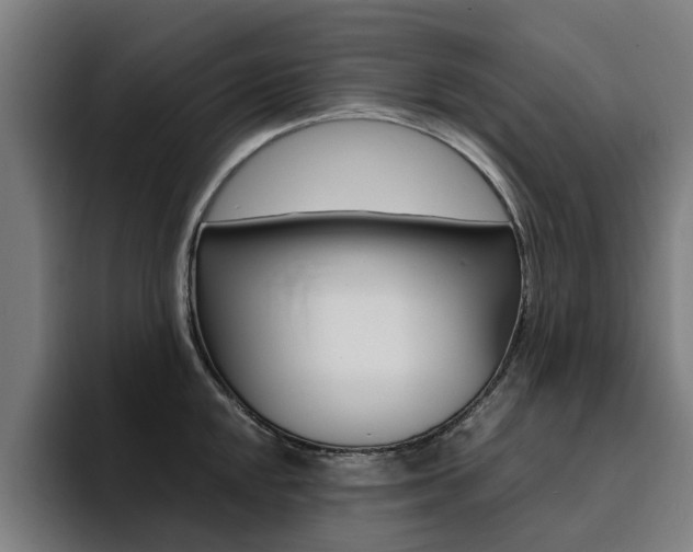 X0000094431048200711081015