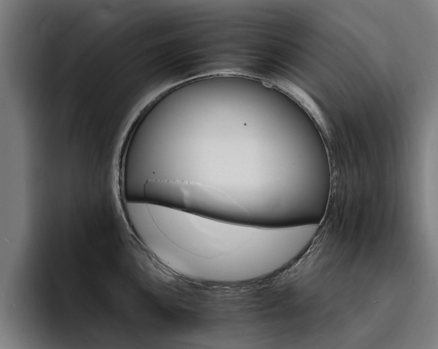 X0000094431051200711081015