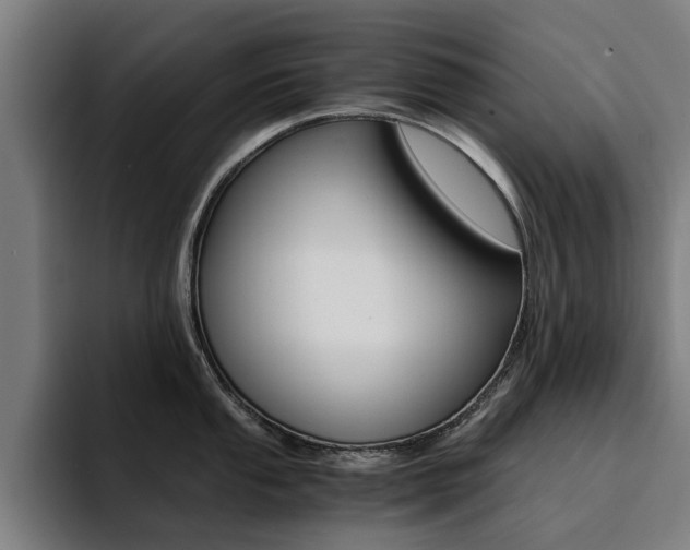X0000094431053200711081015