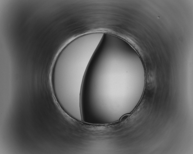 X0000094431054200711081015