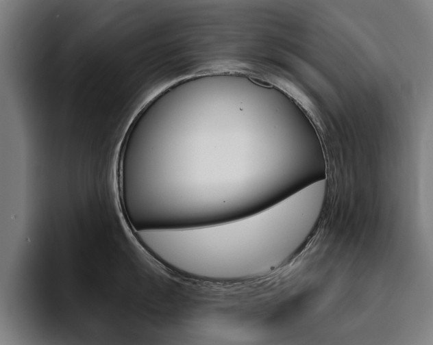 X0000094431055200711081015