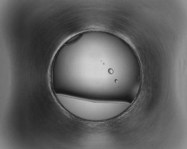 X0000094431056200711081015
