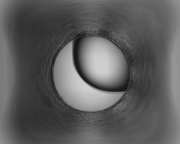 X0000094431057200711081014