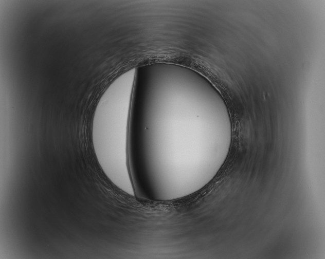 X0000094431058200711081014