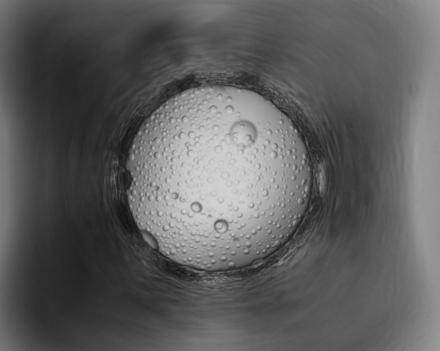 X0000094431059200711081014
