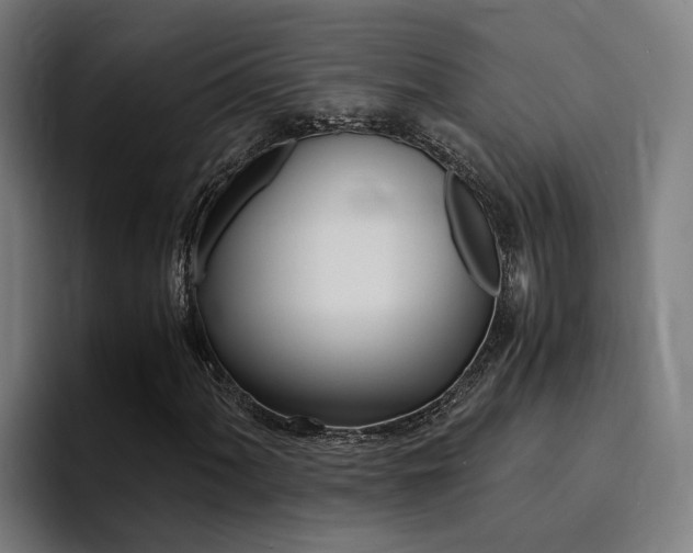 X0000094431060200711081014