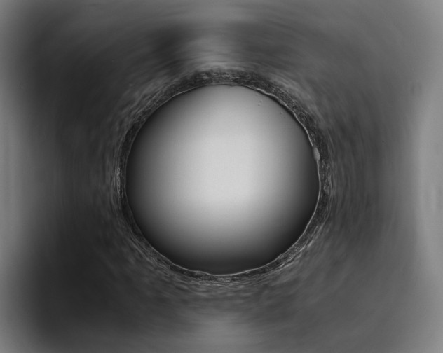 X0000094431061200711081014