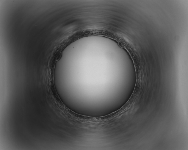 X0000094431062200711081014