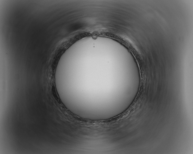 X0000094431063200711081014