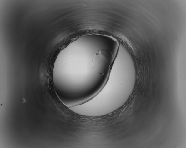 X0000094431064200711081014