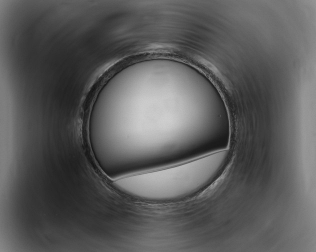 X0000094431066200711081014