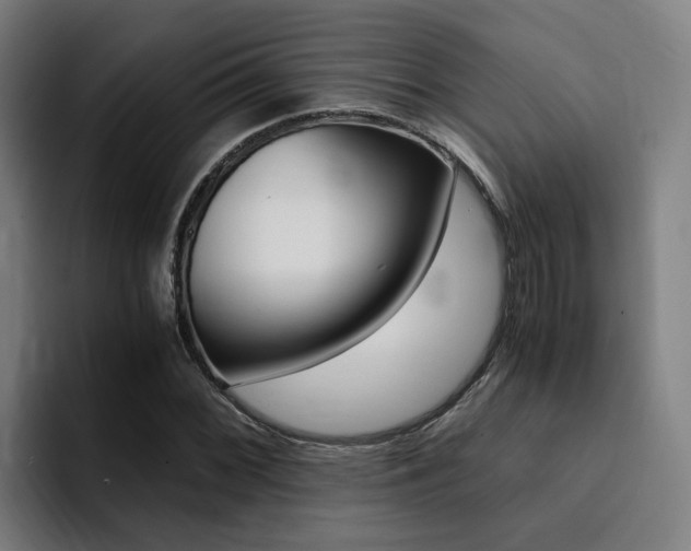 X0000094431068200711081014