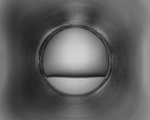 X0000094431070200711081014