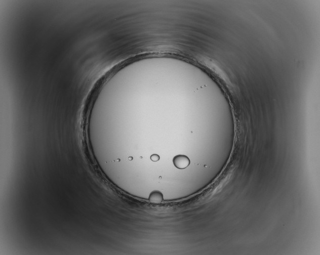 X0000094431071200711081014
