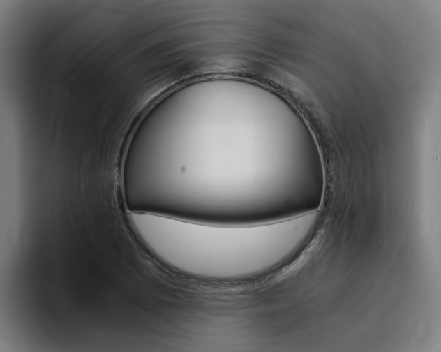 X0000094431073200711081014