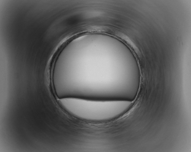 X0000094431075200711081014