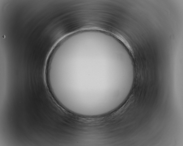 X0000094431076200711081014