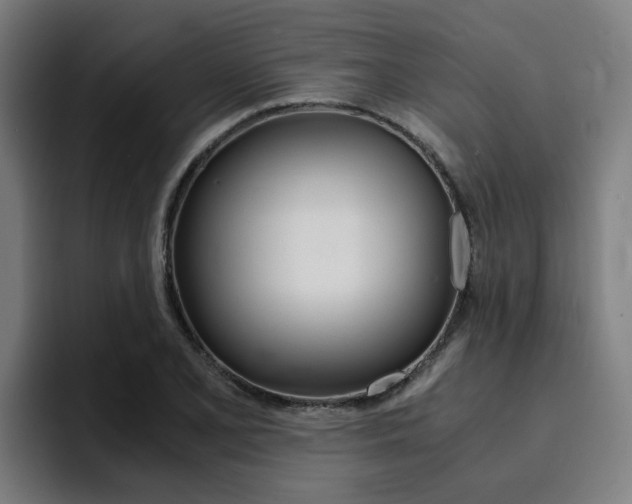 X0000094431077200711081014