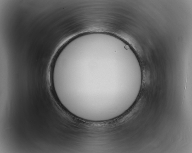 X0000094431078200711081014