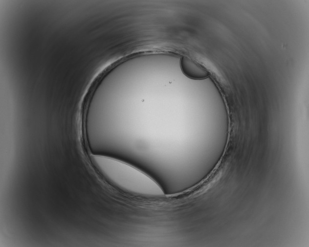 X0000094431079200711081014