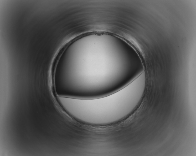 X0000094431080200711081014