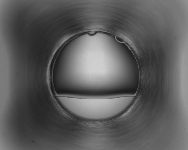 X0000094431082200711081014